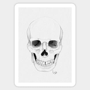 Skull Sticker